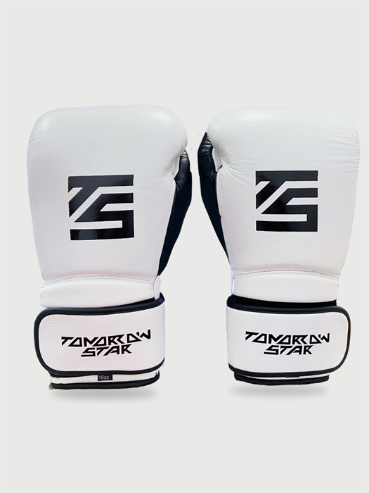 Перчатки боксерские WHITE TS 004 50b54550-7762-11f0-0a80-0bb8000b075d - фото 1402