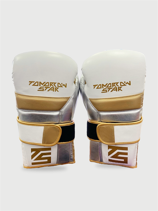 Перчатки боксерские WHITE TS 008 50b7d1f7-7766-11f0-0a80-16b4000bea8c - фото 1403