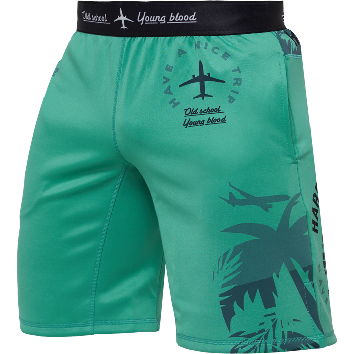 Тренировочные шорты Hardcore Training Voyage Mint 7b7adeb1-9b26-11ed-0a80-0f62003f79cd - фото 2080