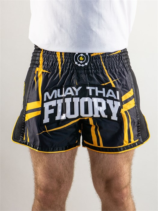 Шорты Муай-Тай Fluory MTSF60 8cf93446-6b61-11ee-0a80-06eb0027aeea - фото 2410