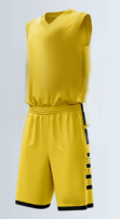 Баскетбольная форма желтая 241 a7f7140b-2023-11f0-0a80-1ab000095a73 - фото 3410