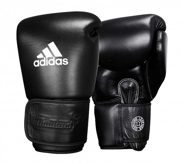 Перчатки боксерские Adidas Muay Thai Gloves 200 T03443 - фото 4164