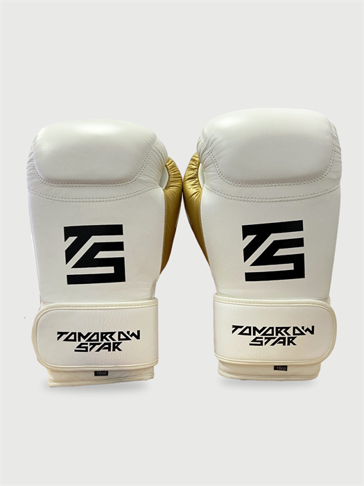 Перчатки боксерские  WHITE TS 11 1fad7ed9-7769-11f0-0a80-0ed3000cd390 - фото 451