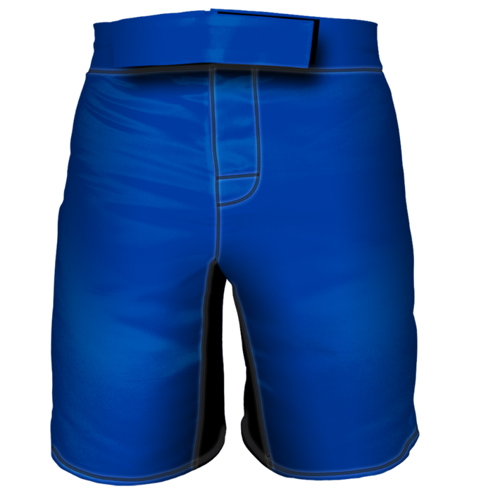 Шорты для мма 6F (синие) e0ab9276-f51b-11eb-0a80-01310021c191 - фото 4929