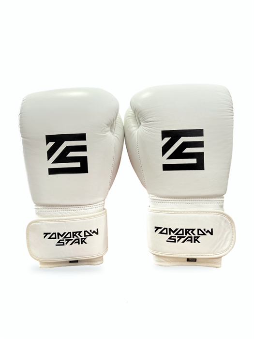 Перчатки боксерские WHITE- BLACK TS 19 ff7dfee9-7770-11f0-0a80-01d8000de63e - фото 5503