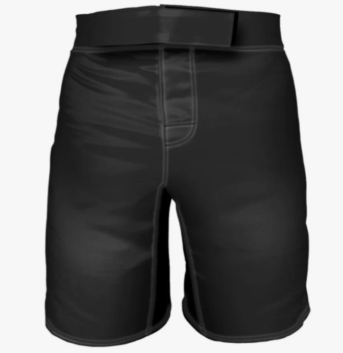 Шорты для мма ISHII (черные) 2b8eb72b-f51b-11eb-0a80-039e00223bf7 - фото 718