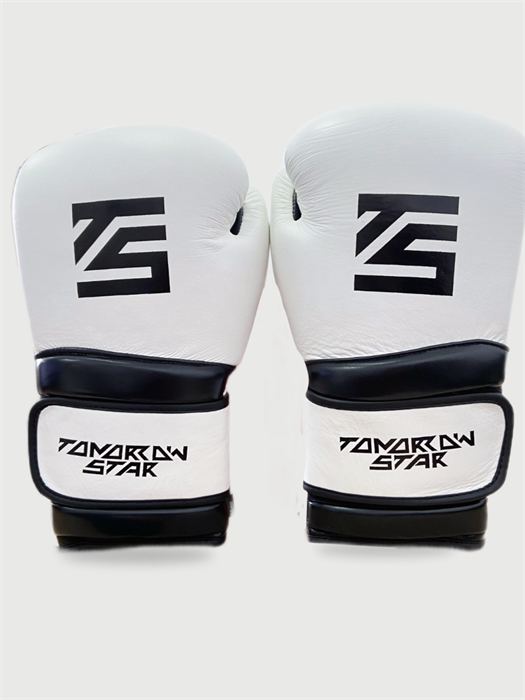 Перчатки боксерские WHITE- BLACK TS 18 2e3e2906-7770-11f0-0a80-16b4000e816e - фото 768