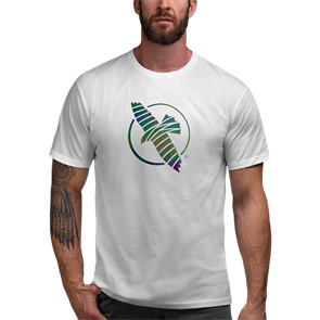 Тренировочная футболка Hayabusa Lightweight Dark Grey 3d3b72f6-b4ec-11ed-0a80-045f003b7e10