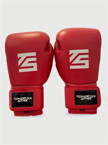 Перчатки боксерские  RED TS 16 3ee77b22-776d-11f0-0a80-16b4000dc8d7