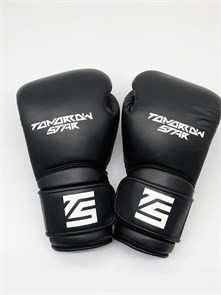 Перчатки черные TS SPORT Phoenix Punch LEATHER 45be54a9-450b-11f0-0a80-19f8002954ca
