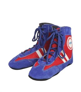 Самбовки сине-красные 633c1b1e-b4b2-11f0-0a80-172900211342