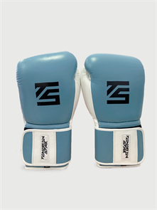 Перчатки боксерские BLUE TS 009 003364f1-7767-11f0-0a80-11c8000c4d09