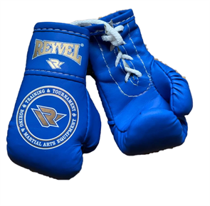 Сувенирные перчатки  Reyvel (Сине-белый) 769545c9-78ee-11ee-0a80-051b0018f07a