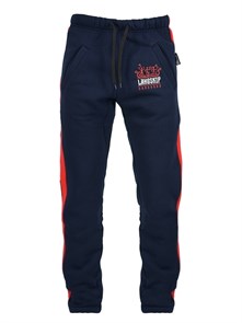 Спорт-брюки с лампасами Варгградъ тёмно-синие (с/н) T01419