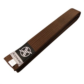 ПОЯС ДЛЯ ЕДИНОБОРСТВ КОРИЧНЕВЫЙ FIGHT EXPERT T01874