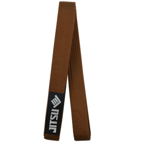 Пояс для кимоно Jitsu (коричневый) T01981