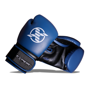 Перчатки для бокса Fight Expert HERO, ПВХ (синий) T02314