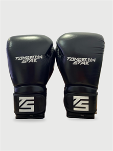 Перчатки боксерские  BLACK TS 12 b0f6cbfa-7769-11f0-0a80-076a000cfe39
