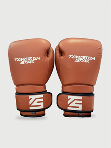 Перчатки боксерские BROWN TS 006 b15bd688-7764-11f0-0a80-16b4000b992f