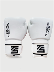 Перчатки боксерские  WHITE  TS 15 1893977f-776c-11f0-0a80-142c000d16fb