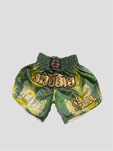 Шорты зеленые  Muay Thai PRO SPORTS GEAR SPALL dffcd8b0-0fa6-11f0-0a80-196f000a9e2a