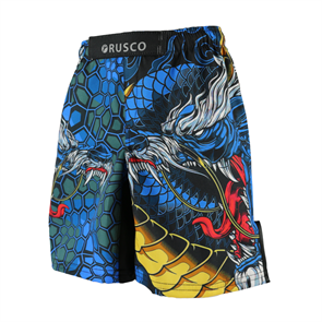 Шорты для ММА Rusco Sport Dragon детские f23ac4f4-797c-11ec-0a80-05810001cbe3