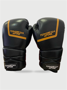 Перчатки боксерские на шнуровке   BLACK TS 28 fb96688f-7819-11f0-0a80-0edc00060714