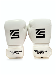 Перчатки боксерские WHITE- BLACK TS 19 ff7dfee9-7770-11f0-0a80-01d8000de63e