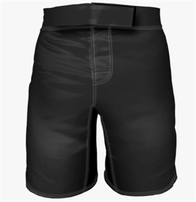 Шорты для мма ISHII (черные) 2b8eb72b-f51b-11eb-0a80-039e00223bf7