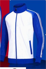 Олимпийка белая с синими  полосками 959# 37982e61-202e-11f0-0a80-1580000c1652