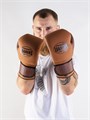 Перчатки боксерские LEADERS HERITAGE BR/BG (коричневый/бежевый) 3f553d81-66e3-11ee-0a80-10f10001bd9d - фото 1107
