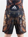 Шорты I am Fighter BJJ Dragon 5fc36e70-d409-11ed-0a80-09a20016c26e - фото 1600