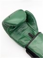 Боксерские перчатки Infinite Force Forest Green 751086b6-1806-11ee-0a80-10a6001c4ec2 - фото 1986