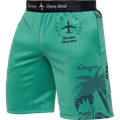 Тренировочные шорты Hardcore Training Voyage Mint 7b7adeb1-9b26-11ed-0a80-0f62003f79cd - фото 2080