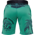 Тренировочные шорты Hardcore Training Voyage Mint 7b7adeb1-9b26-11ed-0a80-0f62003f79cd - фото 2083