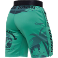 Тренировочные шорты Hardcore Training Voyage Mint 7b7adeb1-9b26-11ed-0a80-0f62003f79cd - фото 2084