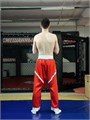 Брюки для кикбоксинга Tomorrow Star PRO красные T01991 - фото 2217