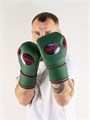 Перчатки боксерские LEADERS LS Long Velcro Custom кожа, зеленый/красный/черный 0c041bc1-9ff8-11ee-0a80-1377000eea33 - фото 223