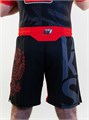 Шорты TFG Союз ММА России (Lite)  (черный-красный) T00914 - фото 2644