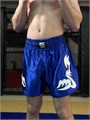 Шорты для тайского бокса синие Tomorrow Star T01790 - фото 3204