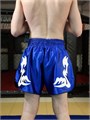 Шорты для тайского бокса синие Tomorrow Star T01790 - фото 3206