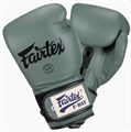 Боксерские перчатки Fairtex F-Day BGV11 15c29593-4c2d-11f0-0a80-1b87000b519a - фото 327