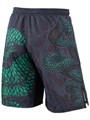 Шорты для MMA Rusco Sport SNAKE, детские T02056 - фото 3353
