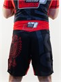 Шорты Такеши Союз ММА Red (  красный) ab1ec56d-d406-11ed-0a80-081000178206 - фото 3547