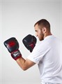 Перчатки боксерские LEADERS HERO Series 0002593 - фото 3649