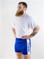 Шорты для самбо BoyBo синие, BS350 T02876 - фото 3933