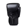 Перчатки боксерские LEADERS THAI SERIES 2 BK.. T03293 - фото 3973