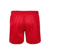 SSS-2008FIAS Шорты САМБО Мастер FIAS Approved красные ca581ca6-bbaf-11f0-0a80-1390000710e1 - фото 4542
