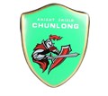 Щит тренировочный CHUNLONG df0ec991-87ed-11f0-0a80-131d000d7541 - фото 4882