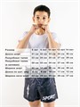 Шорты для мма Молнии (детские) e77f42c6-7ca2-11ee-0a80-0b9a001410a6 - фото 5009
